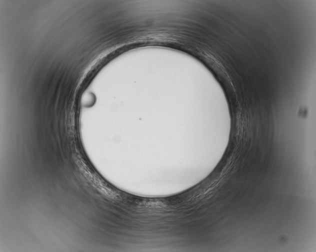 X0000115300784200911301512