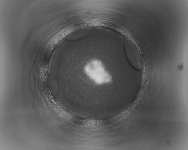 X0000115300785200911301512