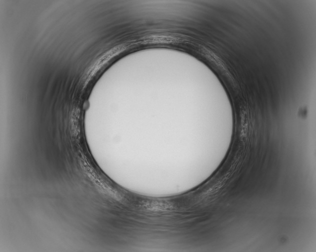 X0000115300786200911301512