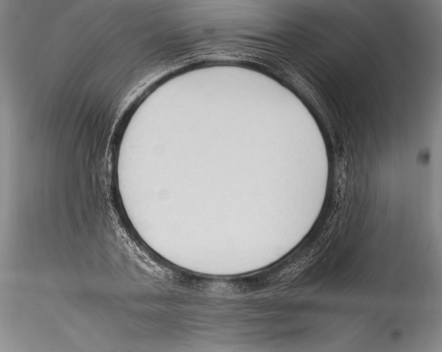 X0000115300787200911301512