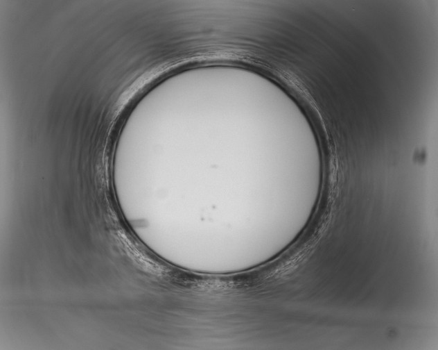 X0000115300789200911301512