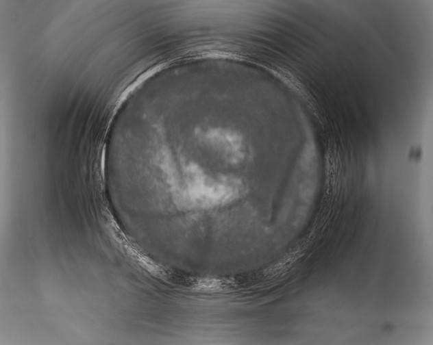 X0000115300790200911301512