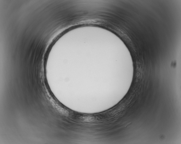 X0000115300792200911301512