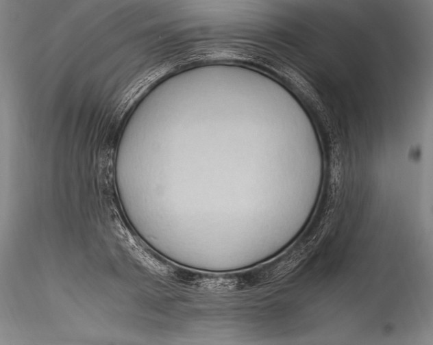 X0000115300793200911301512