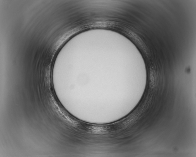 X0000115300794200911301512