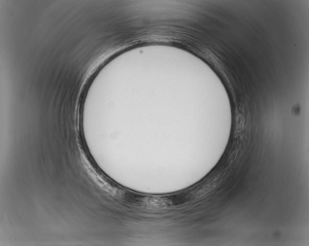 X0000115300795200911301512