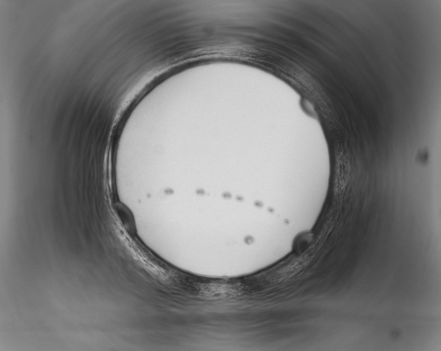 X0000115300796200911301512