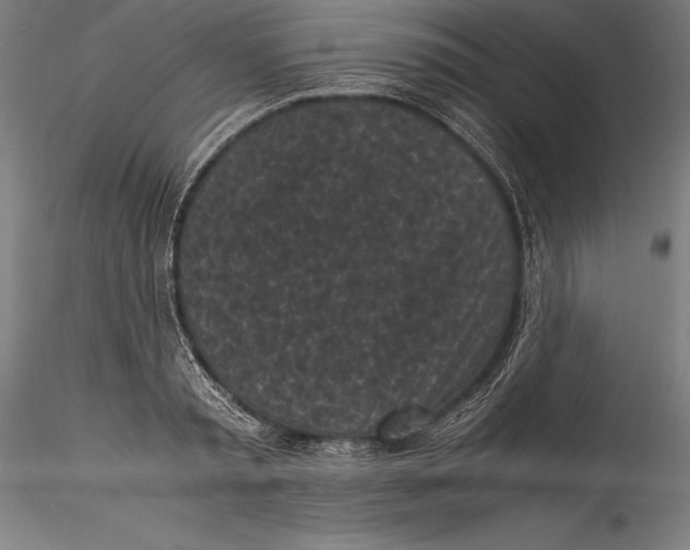 X0000115300797200911301512