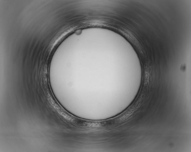 X0000115300798200911301512