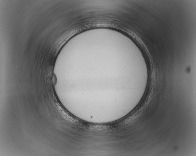 X0000115300801200911301512