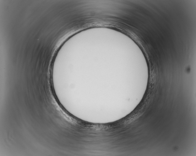 X0000115300803200911301512