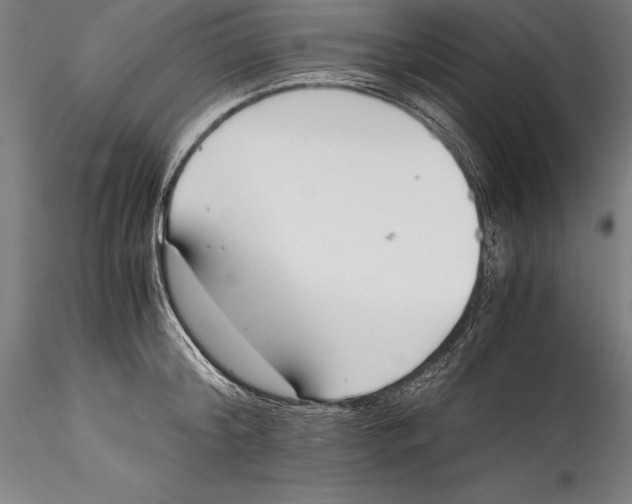 X0000115300804200911301512