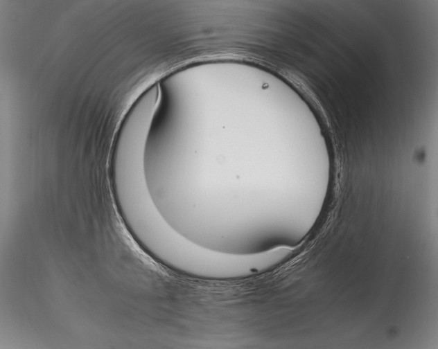 X0000115300805200911301512