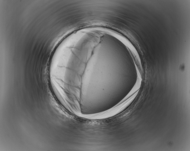 X0000115300806200911301512