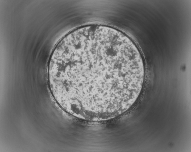 X0000115300807200911301512