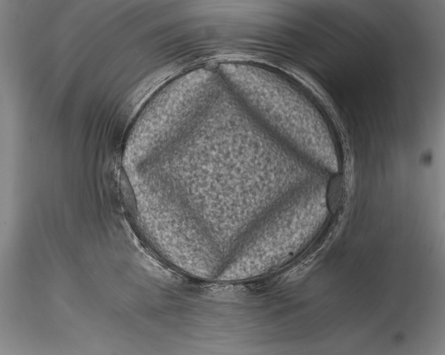 X0000115300809200911301512