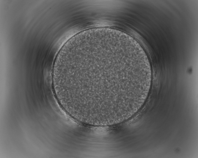 X0000115300810200911301512