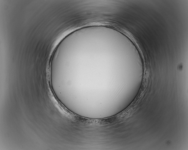 X0000115300811200911301512