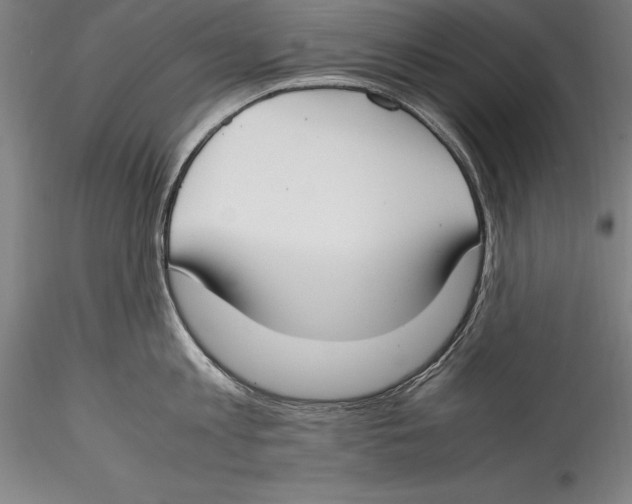 X0000115300813200911301512