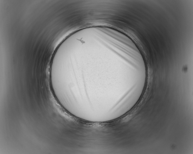 X0000115300814200911301512