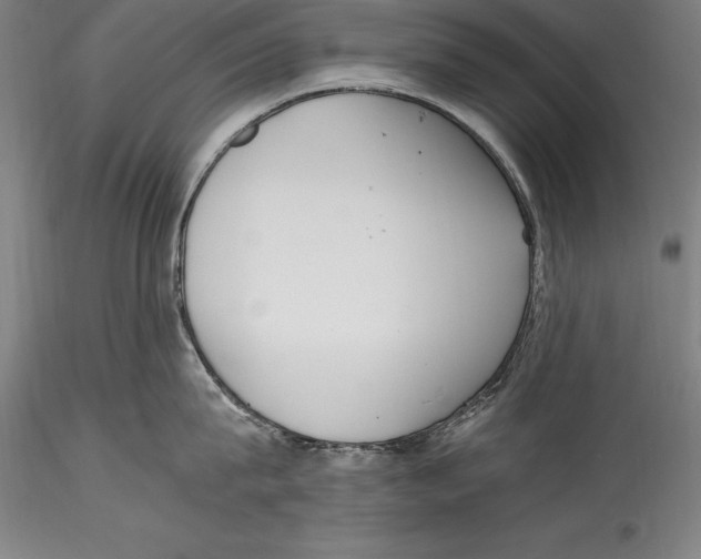 X0000115300815200911301512