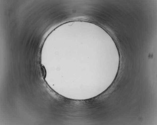 X0000115300816200911301512