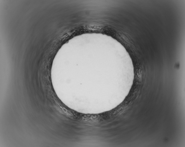 X0000115300817200911301511