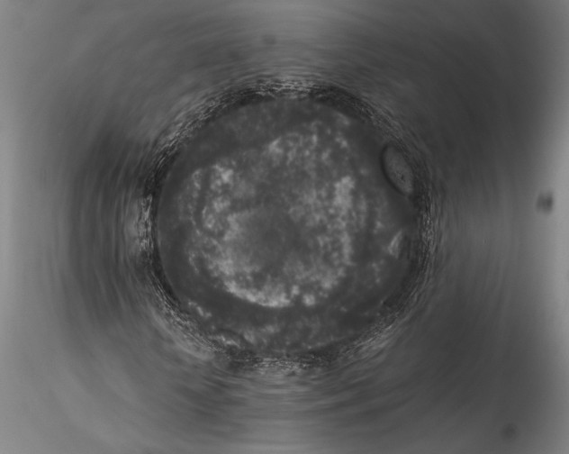 X0000115300818200911301511