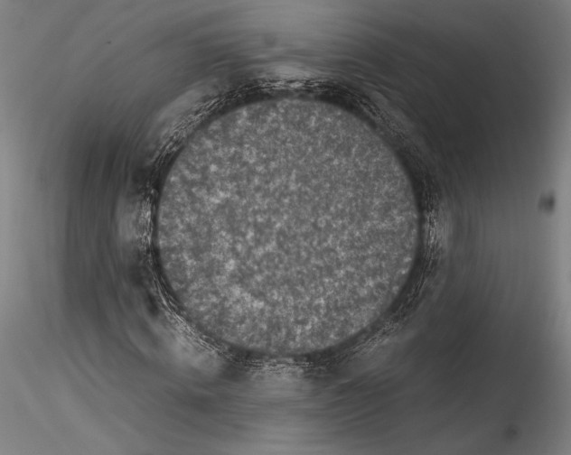 X0000115300820200911301511