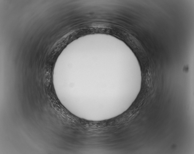 X0000115300821200911301511