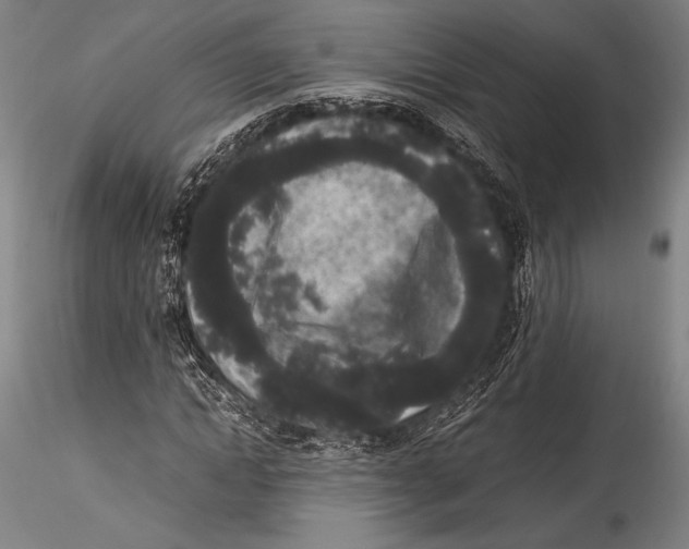 X0000115300822200911301511