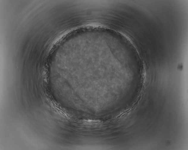 X0000115300823200911301511