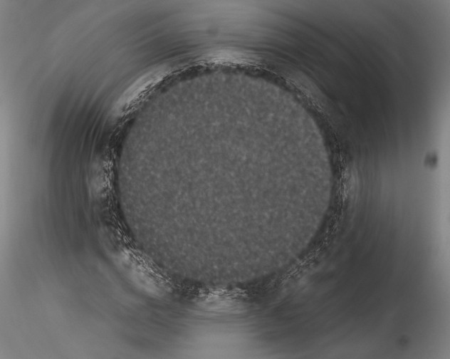 X0000115300824200911301511