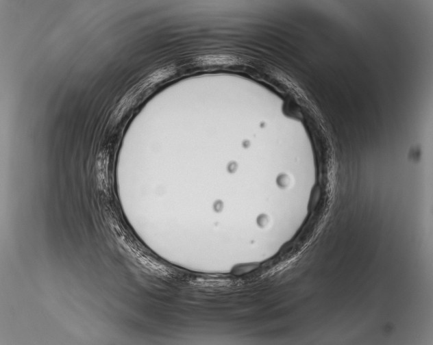 X0000115300825200911301511