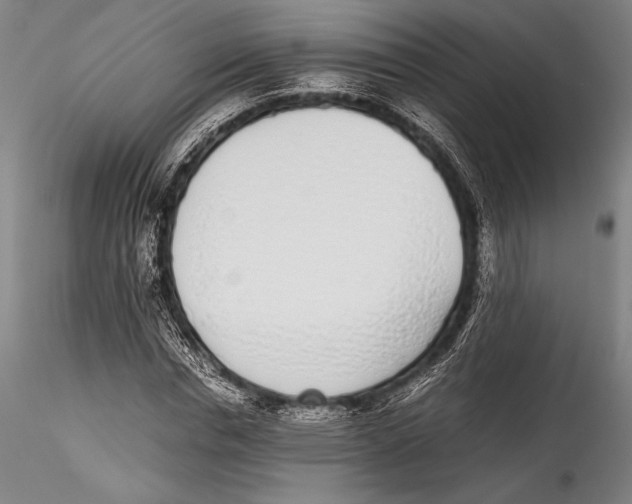 X0000115300826200911301511