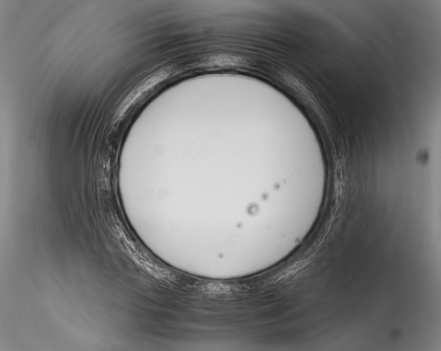 X0000115300827200911301511