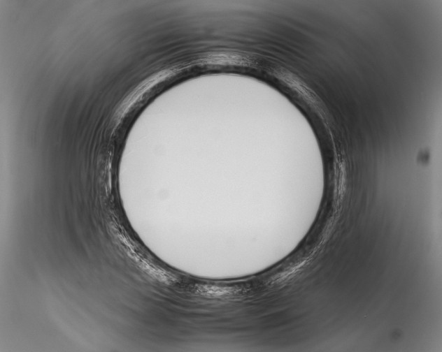 X0000115300829200911301511