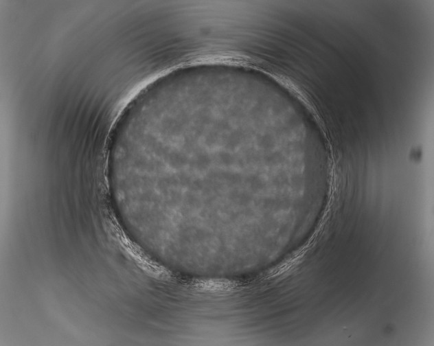 X0000115300830200911301511