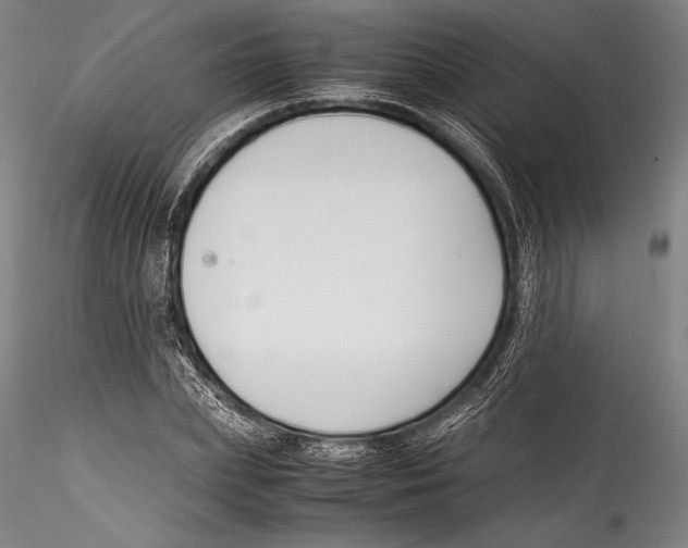 X0000115300831200911301511