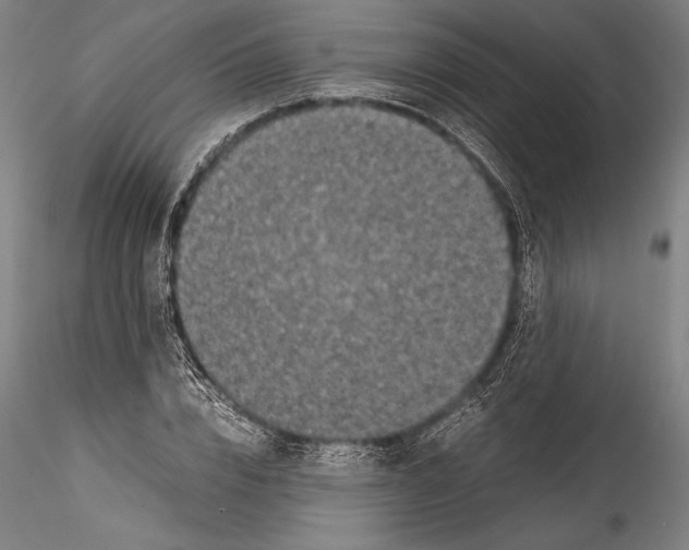 X0000115300832200911301512