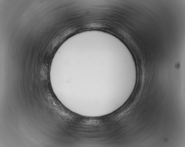 X0000115300833200911301512