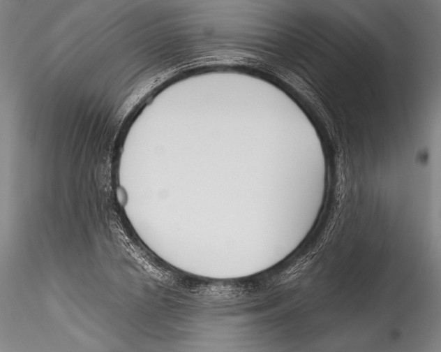 X0000115300834200911301512