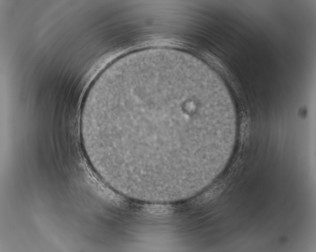 X0000115300836200911301512