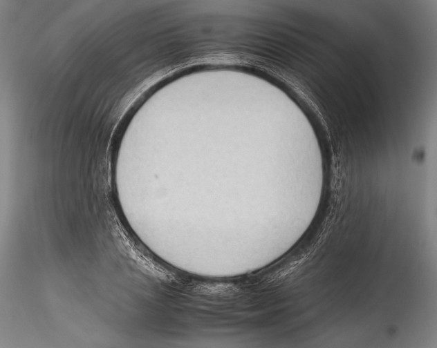 X0000115300837200911301512