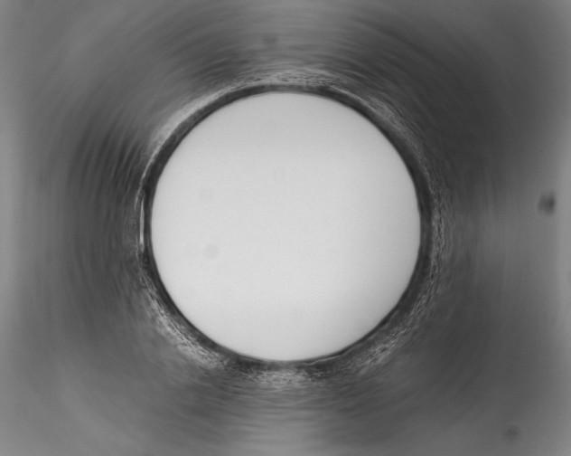 X0000115300838200911301512