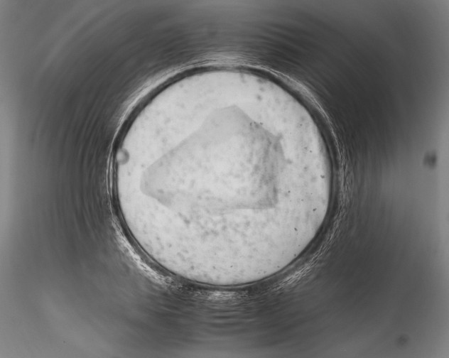 X0000115300839200911301512