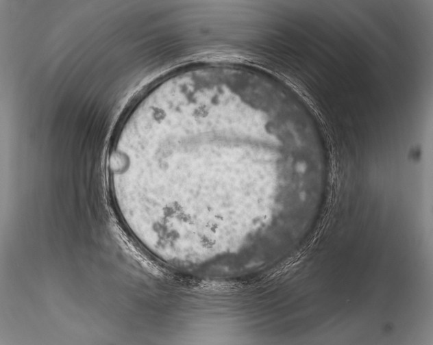 X0000115300840200911301512