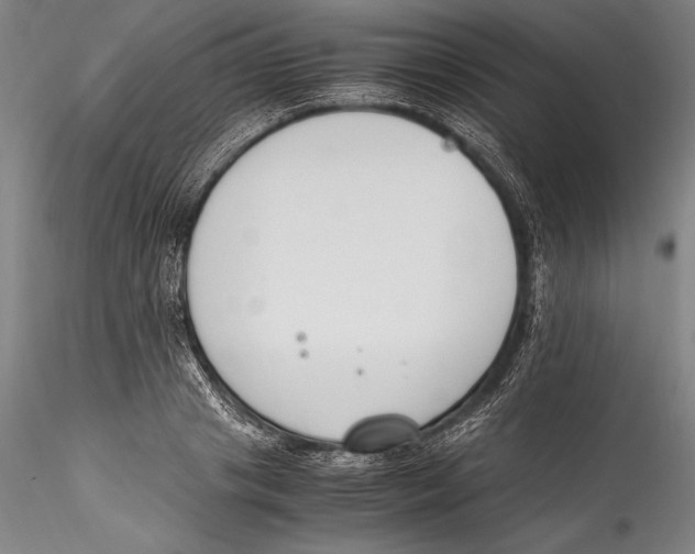 X0000115300841200911301512