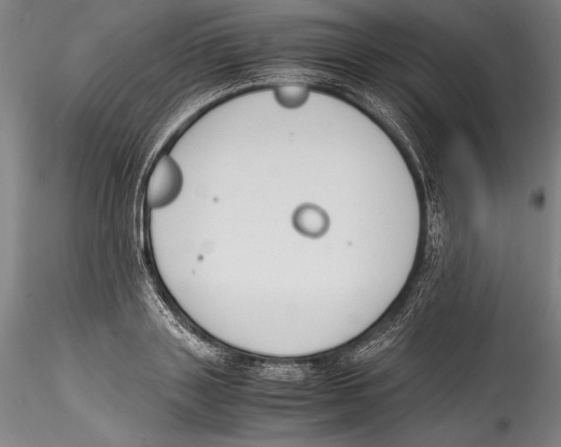 X0000115300843200911301512