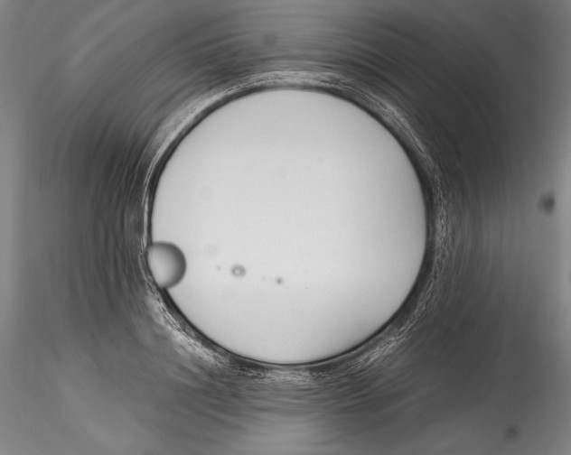 X0000115300844200911301512